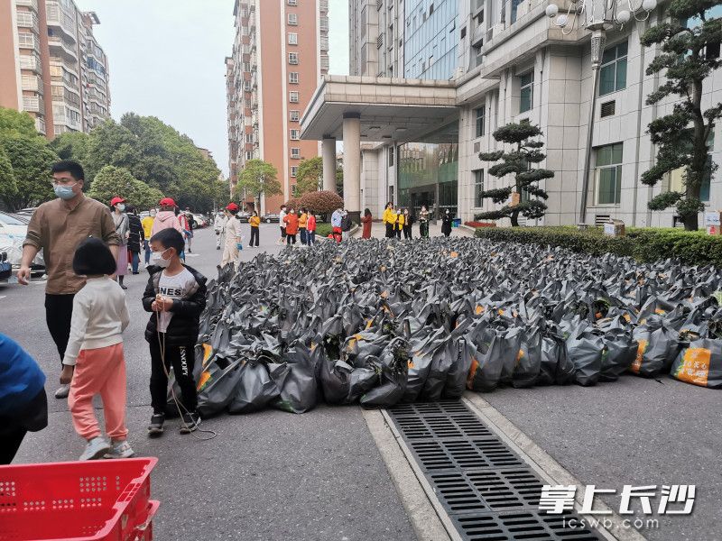780份蔬菜包送到了湘林小區院內。長(cháng)沙晚報實(shí)習生 羅楊 攝